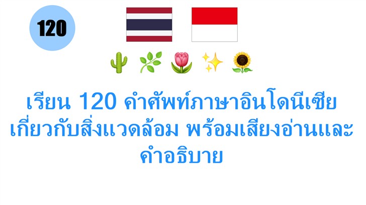 เรียน 120 คำศัพท์ภาษาอินโดนีเซีย เกี่ยวกับสิ่งแวดล้อม พร้อมเสียงอ่านและคำอธิบาย